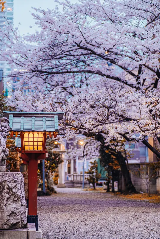 Malcolm.Tokyo Premium Domain